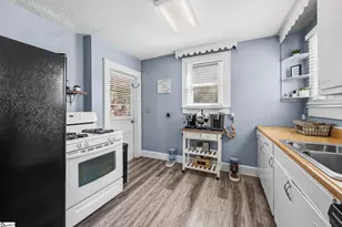 309 E Blue Ridge Dr, Greenville, SC 29609 - Photo 13