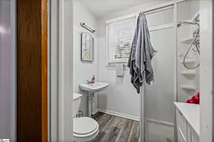 309 E Blue Ridge Dr, Greenville, SC 29609 - Photo 21