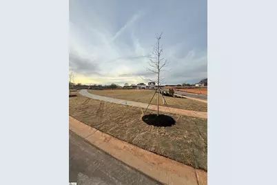 1 Golden Aster Drive, Simpsonville, SC 29681 - Photo 15