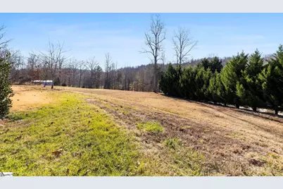 650 Belvue Road, Travelers Rest, SC 29690 - Photo 33