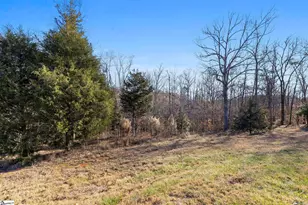 650 Belvue Rd, Travelers Rest, SC 29690 - Photo 31