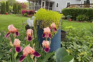 115 Westcreek Way, Greenville, SC 29607 - Photo 33