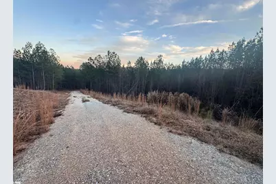 38 Old Plantation Road, Travelers Rest, SC 29690 - Photo 13
