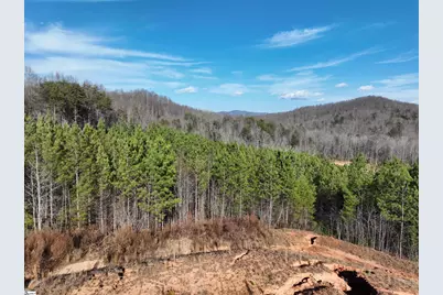 38 Old Plantation Road, Travelers Rest, SC 29690 - Photo 21