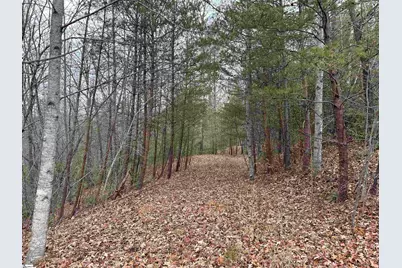 00 Jackson Cove Road #Lot 2, Mill Spring, NC 28756 - Photo 5