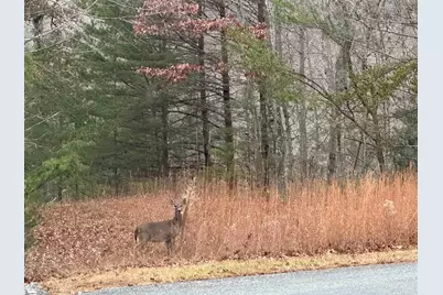 00 Jackson Cove Road #Lot 2, Mill Spring, NC 28756 - Photo 17