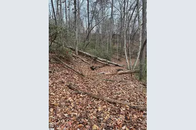 00 Jackson Cove Road #Lot 2, Mill Spring, NC 28756 - Photo 9