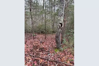 00 Jackson Cove Road #Lot 2, Mill Spring, NC 28756 - Photo 7