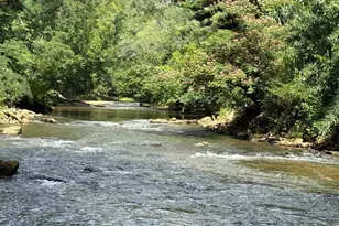 5 Rivereen Way, Simpsonville, SC 29680 - Photo 29