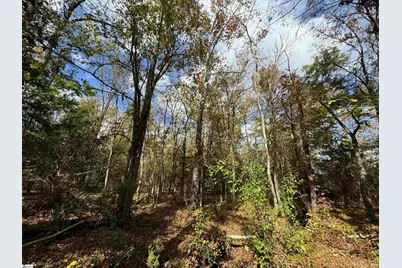 03 Seneca St Extension, Calhoun Falls, SC 29628 - Photo 17