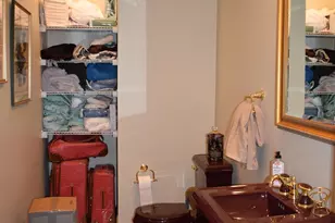 3 Rustic Ct, Landrum, SC 29356 - Photo 21