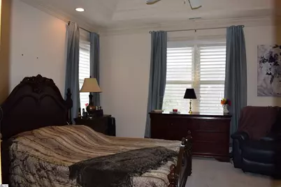 3 Rustic Court, Landrum, SC 29356 - Photo 17