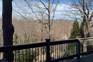 3 Rustic Ct, Landrum, SC 29356 - Photo 35