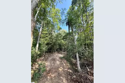 0 Thompson Road #Lot 2, Greer, SC 29651 - Photo 21