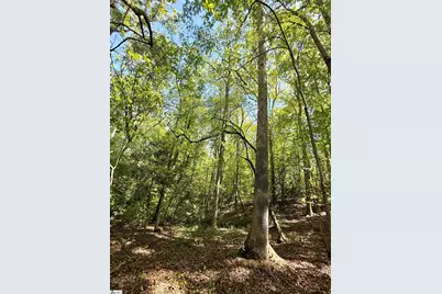 0 Thompson Road #Lot 2, Greer, SC 29651 - Photo 25