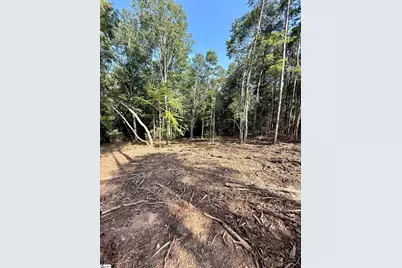 0 Thompson Road #Lot 2, Greer, SC 29651 - Photo 5