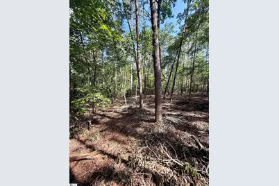 0 Thompson Road #Lot 2, Greer, SC 29651 - Photo 11
