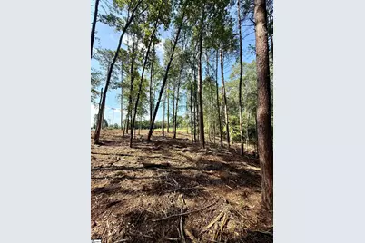0 Thompson Road #Lot 2, Greer, SC 29651 - Photo 19