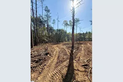 0 Thompson Road #Lot 2, Greer, SC 29651 - Photo 35