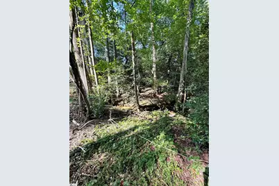 0 Thompson Road #Lot 2, Greer, SC 29651 - Photo 7