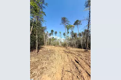 0 Thompson Road #Lot 2, Greer, SC 29651 - Photo 33