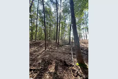 0 Thompson Road #Lot 2, Greer, SC 29651 - Photo 13
