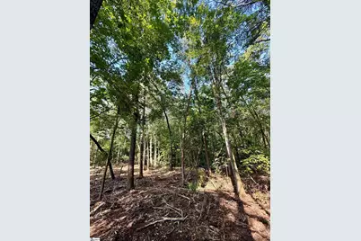 0 Thompson Road #Lot 2, Greer, SC 29651 - Photo 17