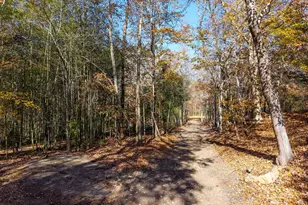 159 Burdine Creek Dr, Easley, SC 29640 - Photo 47