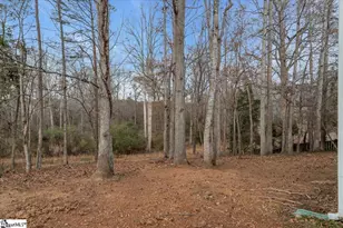 1105 Farming Creek Dr, Simpsonville, SC 29680 - Photo 47