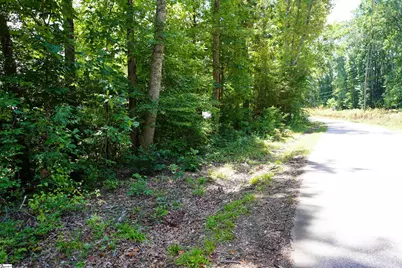 450 S Packs Mountain Road, Taylors, SC 29687 - Photo 31