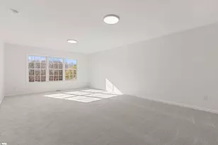 314 Cane Pole Walk, Inman, SC 29349 - Photo 37