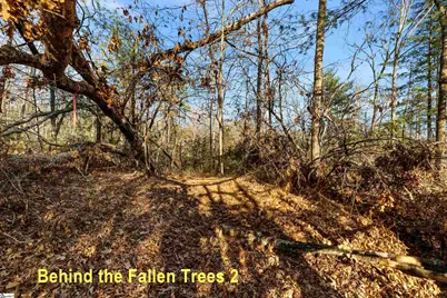 Lot S-23 N Cliffs Falls Parkway, Salem, SC 29676 - Photo 23