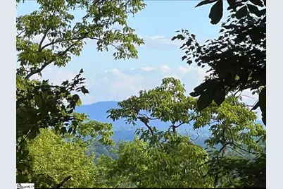 720 Callahan Mountain Road, Travelers Rest, SC 29690 - Photo 7