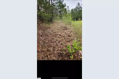 314 Watersedge Drive, Cross Hill, SC 29332 - Photo 1