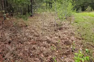 314 Watersedge Dr, Cross Hill, SC 29332 - Photo 1