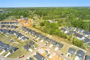 229 Hollythorpe Ln, Fountain Inn, SC 29644 - Photo 35