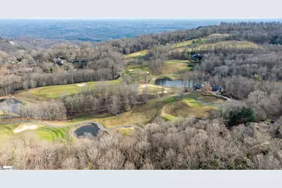 112 Blazing Star Trail, Landrum, SC 29356 - Photo 49