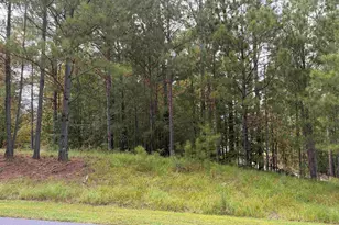 Watersedge Dr, Cross Hill, SC 29360 - Photo 35