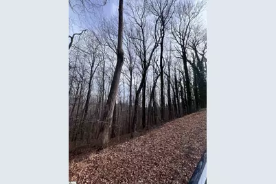 00 Wildflower Lane, Travelers Rest, SC 29690 - Photo 5