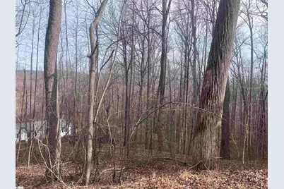 00 Wildflower Lane, Travelers Rest, SC 29690 - Photo 1