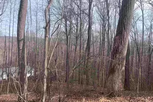 00 Wildflower Ln, Travelers Rest, SC 29690 - Photo 1