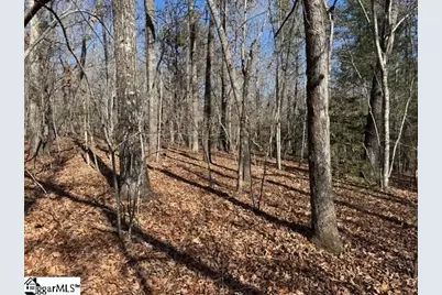 550 Pine Mountain Road, Tamassee, SC 29686 - Photo 25