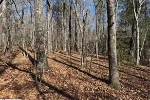 550 Pine Mountain Rd, Tamassee, SC 29686 - Photo 25