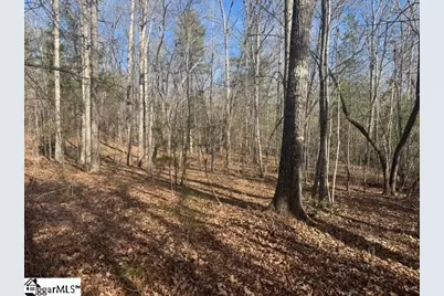 550 Pine Mountain Road, Tamassee, SC 29686 - Photo 29