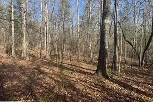 550 Pine Mountain Rd, Tamassee, SC 29686 - Photo 29