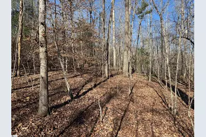 550 Pine Mountain Road, Tamassee, SC 29686 - Photo 23