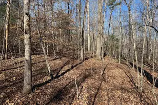 550 Pine Mountain Rd, Tamassee, SC 29686 - Photo 23