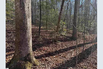 550 Pine Mountain Road, Tamassee, SC 29686 - Photo 21