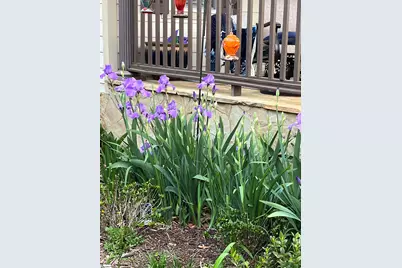 27 King Eider Way, Taylors, SC 29687 - Photo 49