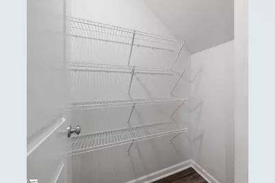 313 Carramore Drive, Inman, SC 29349 - Photo 17